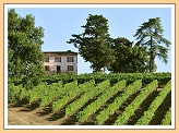 Wijnproeven bij Domaine Guillaman...