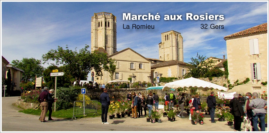 Rozenmarkt in La Romieu...