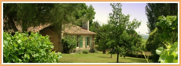 Vakantiehuisje met grote tuin midden tussen de wijngaarden van de Armagnac.....