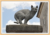 Katten en La Romieu...