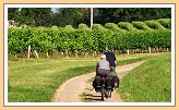 Fietsen in de Gers...