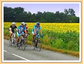 Wielrennen in de Gers...
