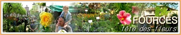Bloemenmarkt in Fources...