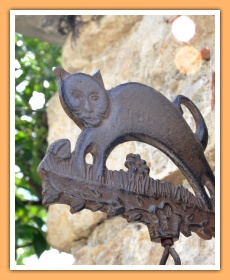Kijk goed rond in La Romieu en zoek alle katten...