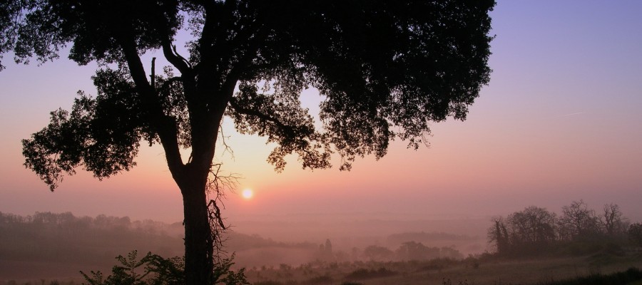 Zonsopgang op de camping...