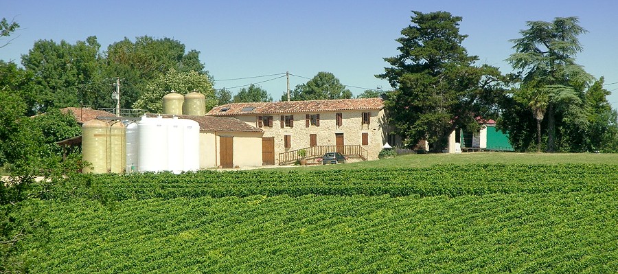 Domaine Guillaman is home of a few very good wines...