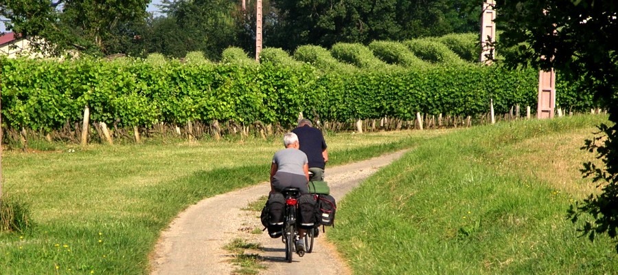 Fietsen in de Gers...