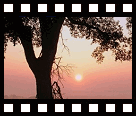 Zonsopgang op de camping...