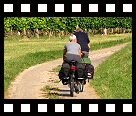 Fietsen in de Gers...