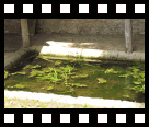 Lavoir Carreté: een oude wasplaats in Gondrin (Gers)...